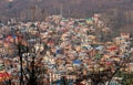 Colorful Houses of Srinagar, Kashmir