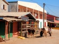 Colorful houses with zebu's - cow and car, Madagascar