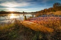 Colorful hulls in the sun Royalty Free Stock Photo