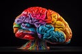 Colorful human brain model, isolated on black background, Royalty Free Stock Photo