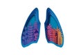 Colorful Human Lungs. World health day. Medicine idea with paper cut flowers and leaves. Lungs shape with origami floral