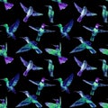 Colorful Hummingbird birds watercolor illustration seamless pattern