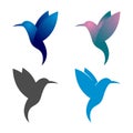 Colorful Hummingbird Colibri Bird Flying Logo Symbol Royalty Free Stock Photo