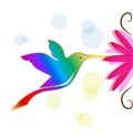 Colorful hummingbird symbol