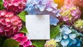 Colorful hydrangea background with copy space. Spring floral beautiful easter card. Fresh flowers. Royalty Free Stock Photo