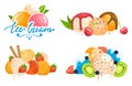 Colorful ice cream scoops with toppings and fruit. Assorted flavors with berries, chocolate, and nuts vector