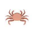 Flat vector icon of crab with claws. Marine animal with five pairs of legs. Element for advertising poster or product