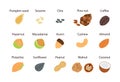 Colorful icons with different nuts and seeds. Organic healthy food concept.