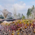 Colorful, icy landscape after the storm