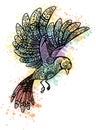colorful illustration of a bird with patterns Royalty Free Stock Photo