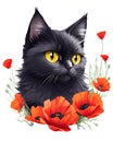 colorful illustration of a black cat with poppies Royalty Free Stock Photo