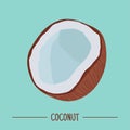 Colorful illustration of broken coconut. - isolated. - Vector