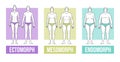 Body types flat vector illustration and endomorph