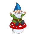 Colorful illustration of garden gnome