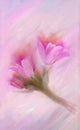 Colorful illustration in light purple, blue, pink spring flowers - Crocus . Elegant background. Royalty Free Stock Photo