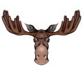 Colorful illustration of a moose head with antlers front view. Wild mammal. Vector color sketch Royalty Free Stock Photo