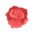 Flat vector icon of rose bud. Gentle flower with red petals. Nature theme. Element for t-shirt print or postcard