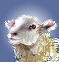 Colorful illustration of a sheep head