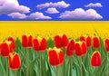 Illustration of An Field of Red Tulips: A Colorful Illustration of Nature\'s Beauty Royalty Free Stock Photo