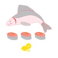 Colorful illustration of a whole fish and cut into pieces and le Royalty Free Stock Photo