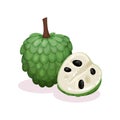 Detailed flat vector design of whole and half of ripe cherimoya. Exotic fruit. Organic food. Custard apple