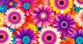 A colorful image of flowers.