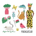 Colorful image, frame art with animals, landmarks, symbols of Madagascar island