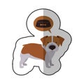Colorful image middle shadow sticker with with beagle dog thinkin food Royalty Free Stock Photo