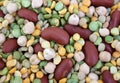 A colorful image of a mixture of raw beans Kidney, Garbanzo, Lentils