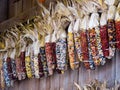 Colorful Indian corn hanging on wooden wall. Royalty Free Stock Photo