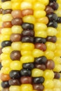 Colorful Indian corns background