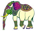 Indian elephant decorated in traditional style. Vector illustration