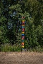 Colorful indian martello tree in the forest