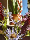 Colorful indoor wildflower bouquet used for decoration