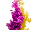 Colorful ink isolated on white background. pink yellow drop swirling under water. Cloud of ink in water. Royalty Free Stock Photo