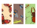 Colorful insects icards wildlife wing detail summer bugs wild vector illustration