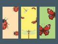 Colorful insects icards wildlife wing detail summer bugs wild vector illustration