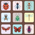 Colorful insects icons isolated wildlife wing detail summer bugs wild vector illustration