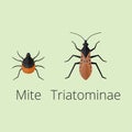 Colorful insects icons isolated wildlife wing detail summer worm caterpillar bugs wild vector illustration.
