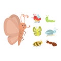 Colorful insects icons isolated wildlife wing detail summer worm caterpillar bugs wild vector illustration. Royalty Free Stock Photo