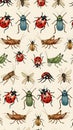 Colorful Insects Pattern on White Background Royalty Free Stock Photo