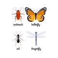 Colorful insects vector set Royalty Free Stock Photo