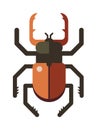 Colorful insects vector stag beetle