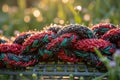 Colorful interwoven paracord rope with dewdrops in nature Royalty Free Stock Photo