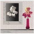 Colorful iris flower in vase and monochrome flower picture.