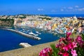 Colorful island town in Italy, view overlooking Procida from a flowery terrace