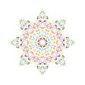 Colorful isolated abstract floral mosaic star symbol template Royalty Free Stock Photo