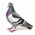 Colorful Isometric Bird Illustration on White Background Generative AI Royalty Free Stock Photo