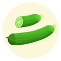 Colorful isometric fresh green cucumber icon: full and split in a half