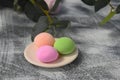 Colorful japanese dessert mochi with eucalyptus on grey background. T Royalty Free Stock Photo